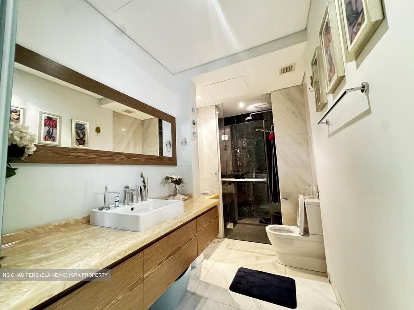St. Regis Residences (D10), Apartment #613690301